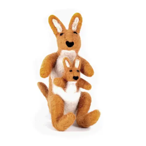 Kangaroo with baby joey
